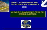 BANCO  CENTROAMERICANO DE INTEGRACION ECONOMICA