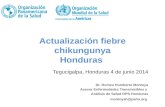 Actualización fiebre chikungunya Honduras