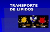 TRANSPORTE DE LIPIDOS