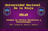 Universidad Nacional  De la Rioja UNLaR Cátedra de Clínica Obstétrica y Perinatología