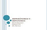 Hiperónimos y  Hiponimos