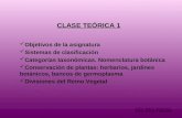 CLASE TEÓRICA 1