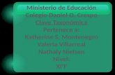 Ministerio de Educación Colegio Daniel O. Crespo Clave Taxonómica Pertenece a: