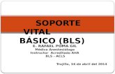 SOPORTE   VITAL          BÁSICO  (BLS)