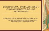 ESTRUCTURA,  ORGANIZACIÓN Y FUNCIONAMIENTO DE LOS  PATRONATOS