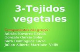 3-Tejidos vegetales