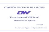 COMISIÓN NACIONAL DE VALORES “Financiamiento PYMES en el     Mercado de Capitales” Junio 2009
