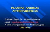 PLANTAS  ANDINAS ANTIDIABETICAS