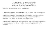 Genética y evolución Variabilidad genética