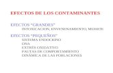 EFECTOS DE LOS CONTAMINANTES EFECTOS “GRANDES” INTOXICACION, ENVENENAMIENTO, MUERTE