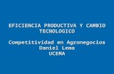 EFICIENCIA PRODUCTIVA Y CAMBIO TECNOLOGICO Competitividad en  Agronegocios Daniel Lema UCEMA