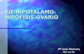EJE HIPOTÁLAMO-HIPÓFISIS-OVARIO