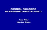 CONTROL BIOLÓGICO  DE ENFERMEDADES DE SUELO