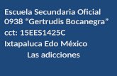 Escuela  S ecundaria Oficial 0938 “Gertrudis Bocanegra” cct: 15EES1425C Ixtapaluca Edo México