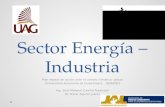 Sector Energía – Industria