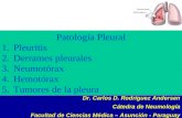 Patología Pleural  Pleuritis  Derrames pleurales  Neumotórax  Hemotórax  Tumores de la pleura