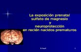 La exposición prenatal sulfato de magnesio  y neuroprotección en recién nacidos prematuros