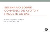 SEMINARIO SOBRE CONVENIO DE KYOTO Y PAQUETE DE BALI