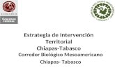 Estrategia de Intervención Territorial Chiapas-Tabasco