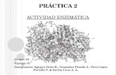 Práctica 2 Actividad Enzimática