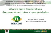 Alianza entre Cooperativas Agropecuarias: retos y oportunidades