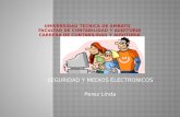 SEGURIDAD Y MEDIOS ELECTRONICOS Perez Linda