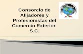 Consorcio de Alijadores y Profesionistas del Comercio Exterior  S.C.