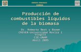 Producción de combustibles líquidos de la biomasa