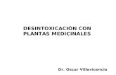 DESINTOXICACIÓN CON  PLANTAS MEDICINALES