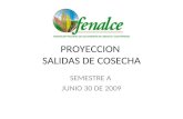 PROYECCION  SALIDAS DE COSECHA