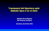 Tractament del hipertens amb diabetis tipus 2 en el 2012