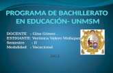 PROGRAMA DE BACHILLERATO  EN EDUCACIÓN- UNMSM