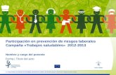 Participación  en  prevención  de  riesgos laborales Campaña « Trabajos saludables »   2012-2013