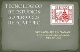 TECNOLOGICO DE ESTUDIOS SUPERIORES DE ECATEPEC