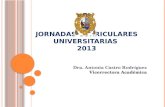 Jornadas Curriculares Universitarias  2013