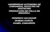 UNIVERSIDAD AUTONOMA DE CHIHUAHUA, FACULTAD DE ZOOTECNIA PRODUCCIÓN DE POLLO DE ENGORDA
