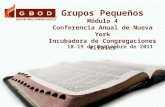 Grupos Pequeños Módulo 4 Conferencia Anual de Nueva York Incubadora de Congregaciones Vitales