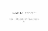Modelo  TCP/IP