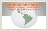 GRUPOS ARMADOS:  INSURGENTES, CRIMINALES, MILICIAS Y TERRORISTAS