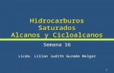 Hidrocarburos Saturados Alcanos y  Cicloalcanos