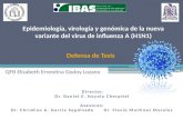 Epidemiología,  virología y genómica de la nueva variante del virus de influenza A (H1N1 )
