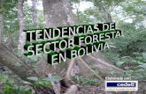 TENDENCIAS DEL  SECTOR FORESTAL  EN BOLIVIA