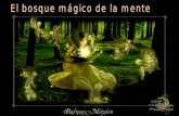 El bosque mágico de la mente