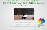 Ley Núm. 220 / Ley Especial COOPERATIVAS JUVENILES Puerto Rico