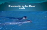 El extinción de los  Monk seals