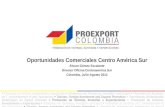 Oportunidades Comerciales Centro América Sur Álvaro Gómez Escalante