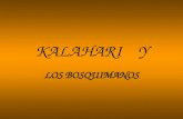 KALAHARI    Y