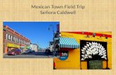 Mexican Town Field Trip Señora  Caldwell