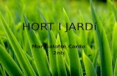 HORT I  JARDí