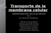 Transporte de la membrana celular